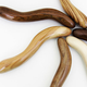 Illustration for article titled Would You Use a Wooden Dildo?